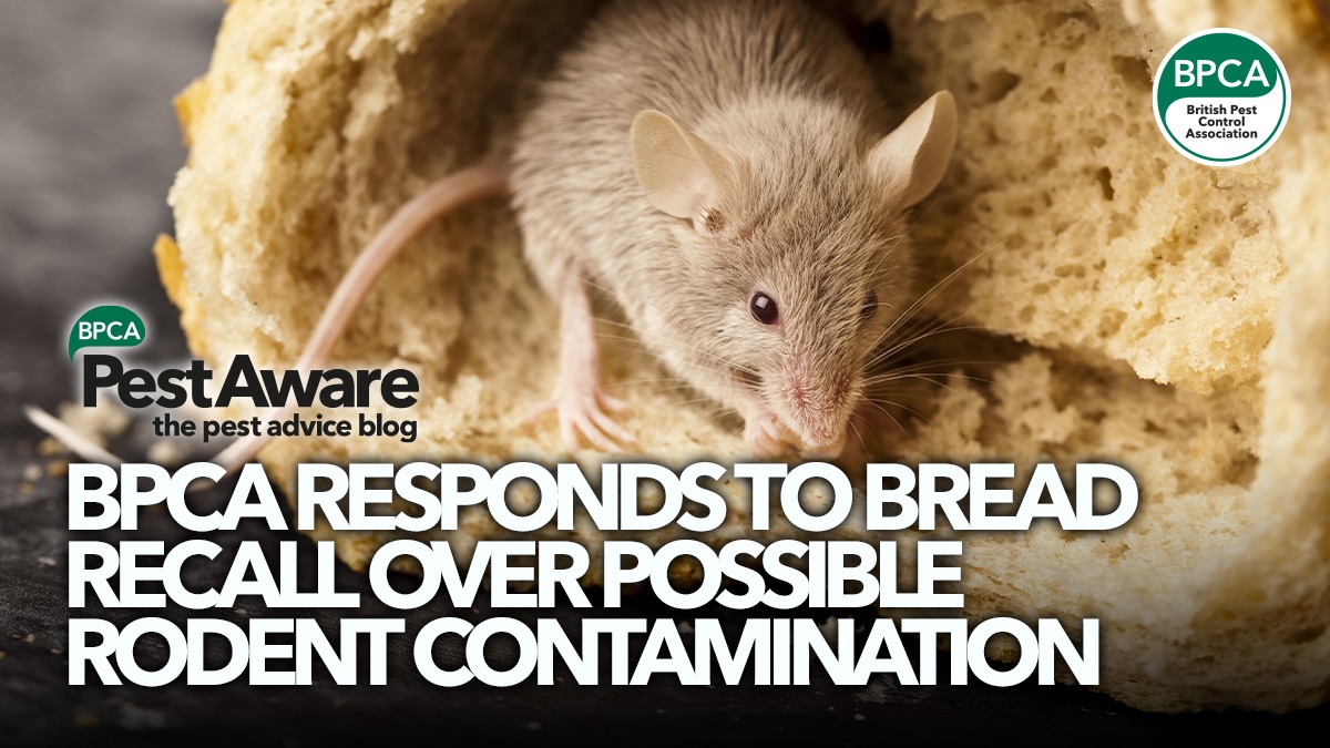 bpca-responds-to-bread-recall-contamination-hero bpca-responds-to-bread-recall-contamination-hero